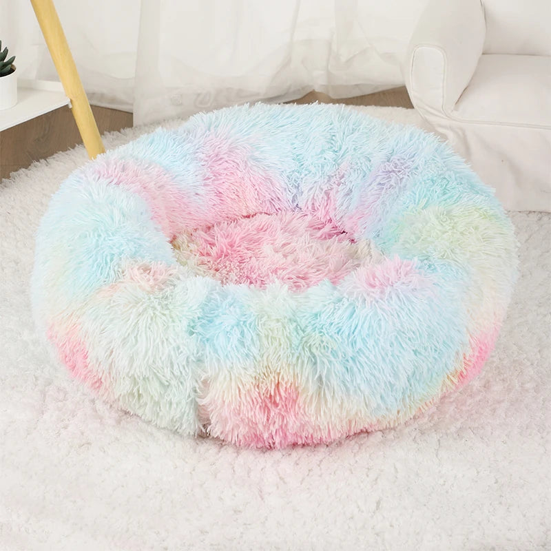 Coussin pour chat moelleux multicolore pastel vide, posé sur un tapis blanc devant un rideau transparent