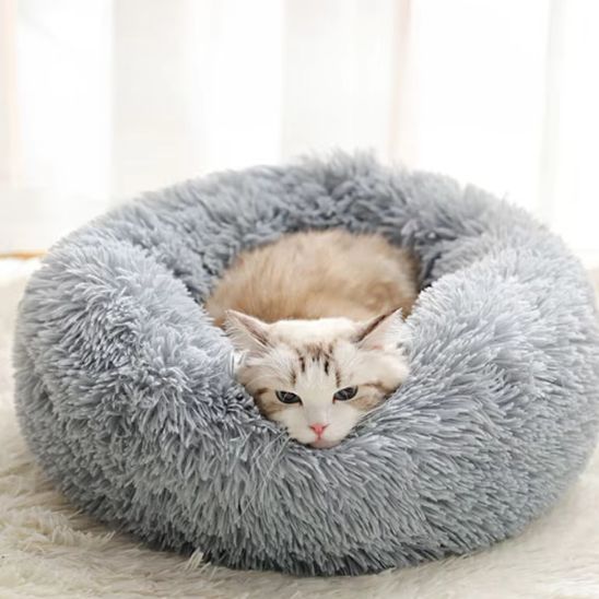 Chat beige couché la tête posée sur le bord d’un coussin gris argenté en fausse fourrure
