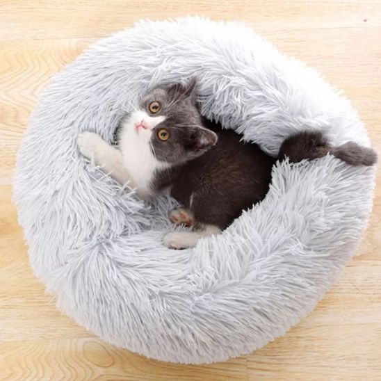 Chaton gris et blanc assis dans un coussin rond gris clair à poils longs, regardant vers le haut