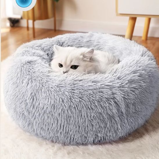 Chat blanc aux yeux sombres installé dans un coussin pour chat moelleux gris givré posé sur un sol clair