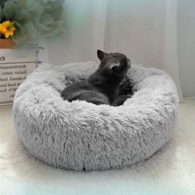 Chat gris couché dans un coussin pour chat rond moelleux gris clair, posé au sol près d’un rideau blanc