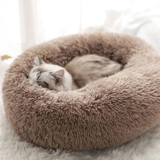 Chat beige reposant confortablement dans un coussin pour chat rond marron clair sur un tapis blanc