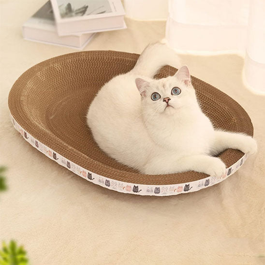 Griffoir pour chat accueillant ScratchNap avec un chat blanc aux yeux bleus confortablement allongé dans un griffoir ovale en carton. Le bord est décoré de petites illustrations de chats, et deux livres sont posés à l’arrière-plan sur une couverture crème et des livres.