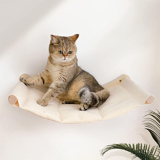 Chat assis confortablement sur un hamac mural rembourré, pour des siestes moelleuses.