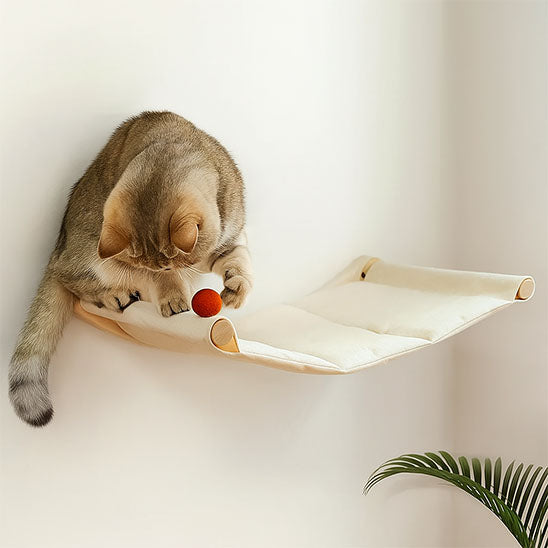 Chat jouant avec une balle rouge sur un hamac mural, combinant détente et stimulation mentale.