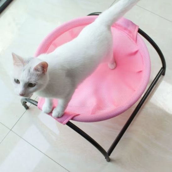 Chat debout dans le hamac sur pied pour chat Trônix™ rose, montrant sa stabilité et solidité.
