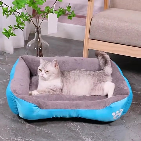 Chat dans un lit pour chat bleu, rebords surélevés pour un effet sécurisant et cocooning