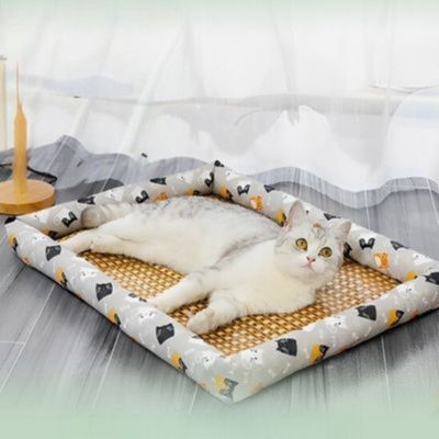 Chat détendu sur lit pour chat gris avec base rafraîchissante en rotin et motifs chats