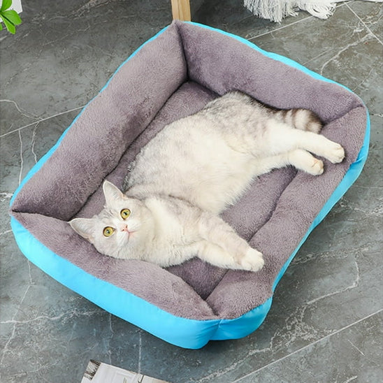 Chat allongé dans un lit pour chat bleu, design douillet avec rembourrage ultra moelleux.