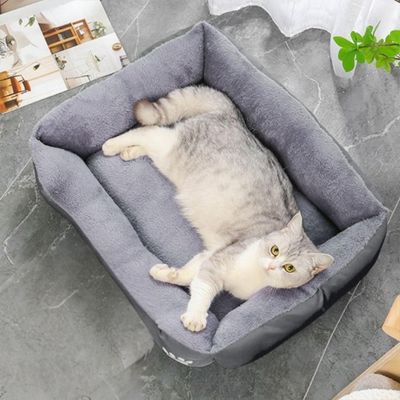 Chat allongé dans lit pour chat gris, parfaitement installé sur coussin moelleux
