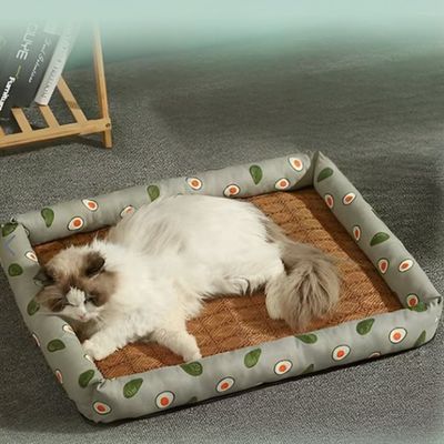 Chat blanc sur lit pour chat vert à motifs avocats et base respirante en rotin naturel