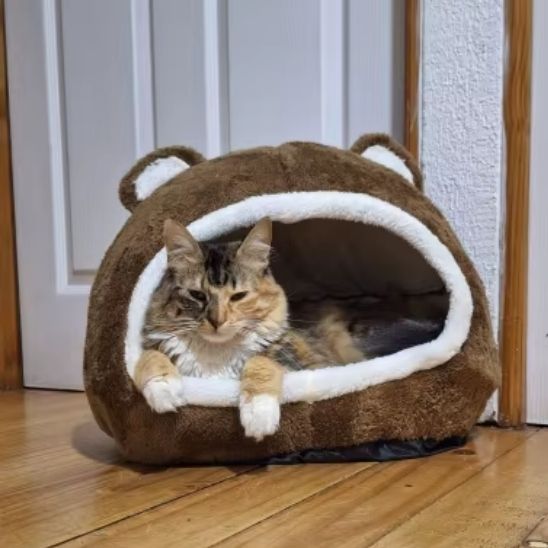 Niche chat cocooning légère-ChatMouflage