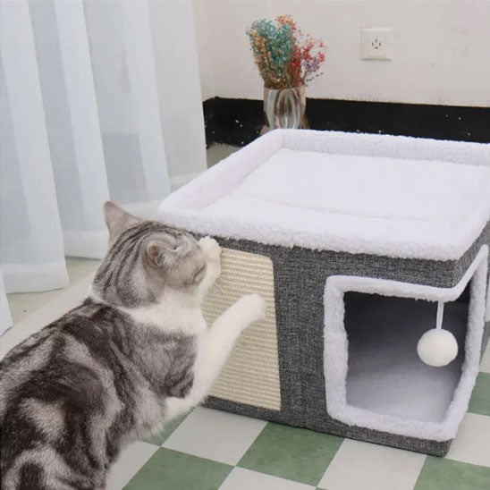 Chat griffant le panneau beige d’une niche cube grise à bordure blanche.