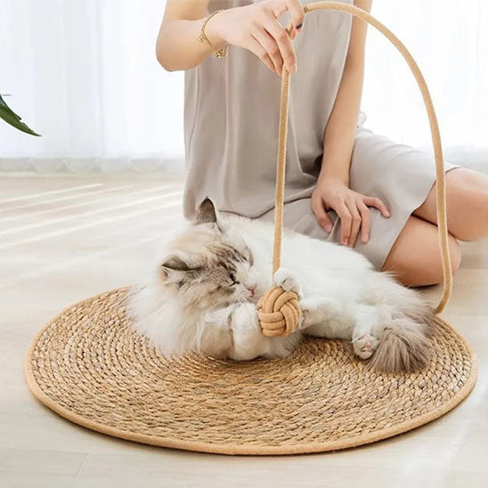 Chat blanc moelleux joue avec corde sur tapis griffoir rond en jute.