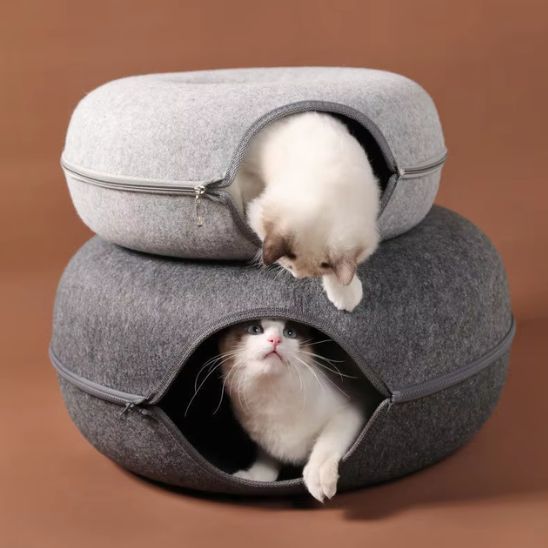 Deux chats jouent avec deux Miaunnel™ empilés, un dessus, un caché dans le tunnel