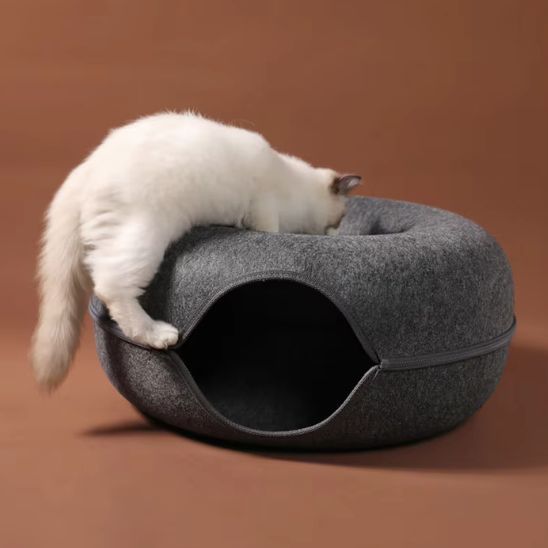Chat qui grimpe sur le Miaunnel™ en explorant le tunnel pour chat