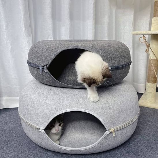 Chat allongé sur le Miaunnel™, regardant curieusement hors du tunnel