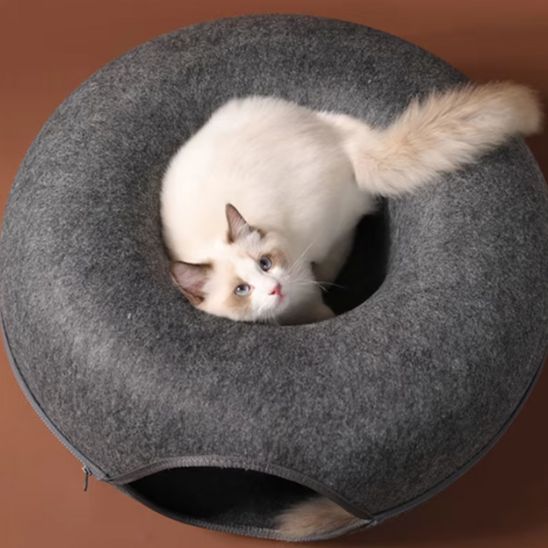 Miaunnel™ , chat à l’intérieur du tunnel pour chat