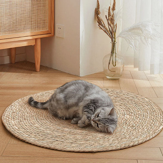 Chat gris tigré allongé sur tapis griffoir rond en jute près d’une fenêtre.