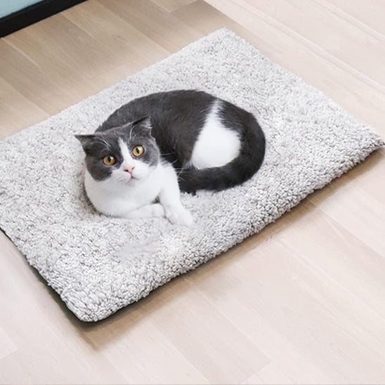 Chat gris et blanc roulé sur coussin auto-chauffant gris moelleux, sol bois clair – WarmPaws.