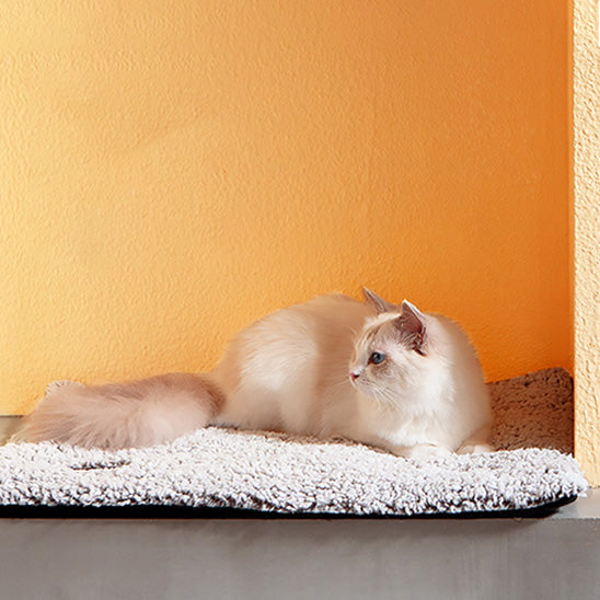 Chat crème allongé sur coussin auto-chauffant gris, regard attentif vers la droite – WarmPaws.