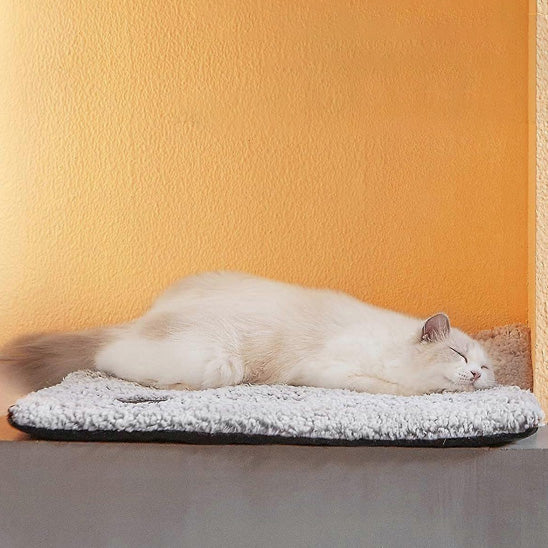 Chat crème endormi sur coussin auto-chauffant moelleux, mur orange en fond – WarmPaws.