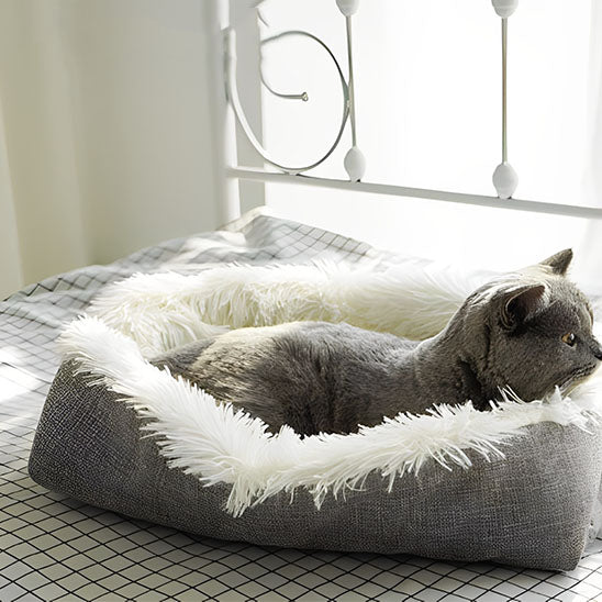 Coussin pour chat cocon Chadoux blanc, effet nid douillet posé sur un lit, avec un chat gris apaisé en lumière naturelle.
