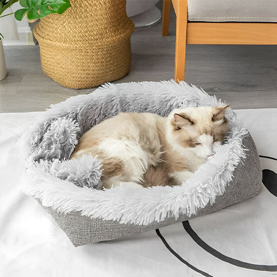 Coussin pour chat en forme de cocon Chadoux, rembourré et enveloppant, avec un chat crème profondément endormi.