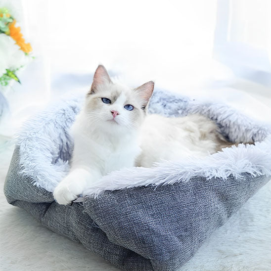 Coussin pour chat Chadoux gris moelleux, design apaisant pour intérieur moderne, avec un chat blanc aux yeux bleus relaxé.
