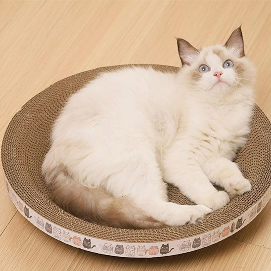 Griffoir pour chat moelleux ScratchNap montrant un chat blanc et crème aux yeux bleus allongé confortablement dans un griffoir rond en carton. Le bord est décoré de dessins de petits chats colorés.