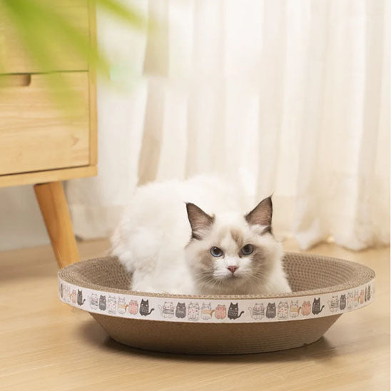 Griffoir pour chat relaxant ScratchNap avec un chat ragdoll assis dans un griffoir rond en carton devant une fenêtre voilée. Le griffoir est orné de motifs de chats stylisés tout autour du bord.