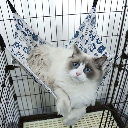 Chat ragdoll installé dans un hamac chat suspendu en coton bleu et blanc, motifs félins, accroché dans une cage intérieur