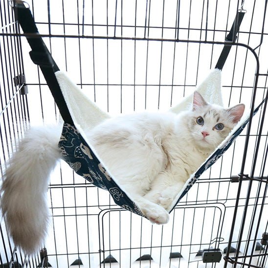 Chat blanc endormi dans un hamac suspendu bleu et blanc pour chat, suspendu dans une cage intérieure en métal blanc