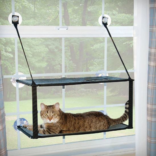 Hamac pour chat double suspendu fixé à une fenêtre, avec un chat allongé confortablement