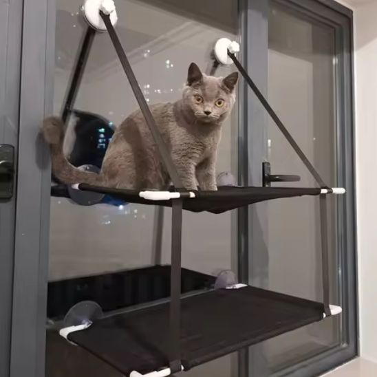 Hamac pour chat ChatBunk noir à double niveau, monté sur fenêtre avec ventouses, avec un chat installé confortablement.