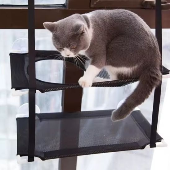 Hamac pour chat ChatBunk noir à double niveau, monté sur fenêtre avec ventouses, avec un chat confortablement installé