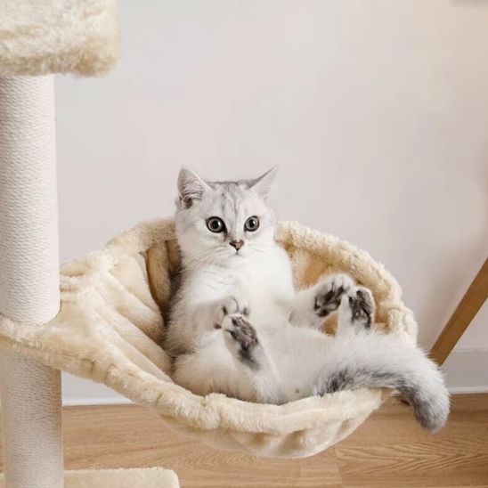Hamac chat beige avec chat allongé sur le dos dans un lit suspendu.