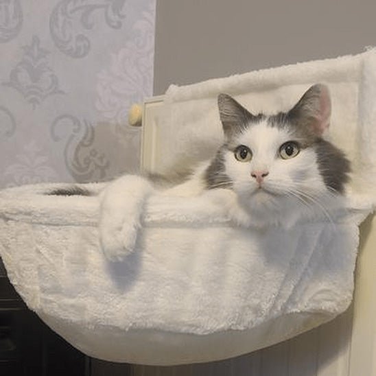 Hamac pour chat mural en fourrure synthétique avec un chat allongé confortablement au chaud