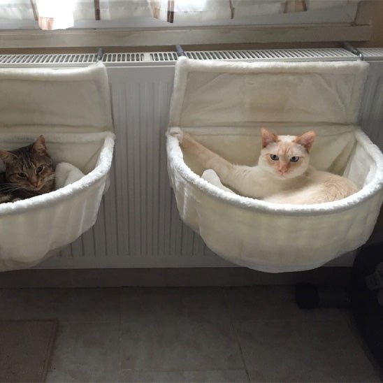 Deux chats installés côte à côte dans deux hamacs pour chat accrochés à un radiateur
