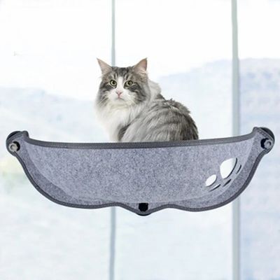 Chat gris à poils longs assis dans un hamac Fenetroir stable et ergonomique, fixé solidement à une vitre.