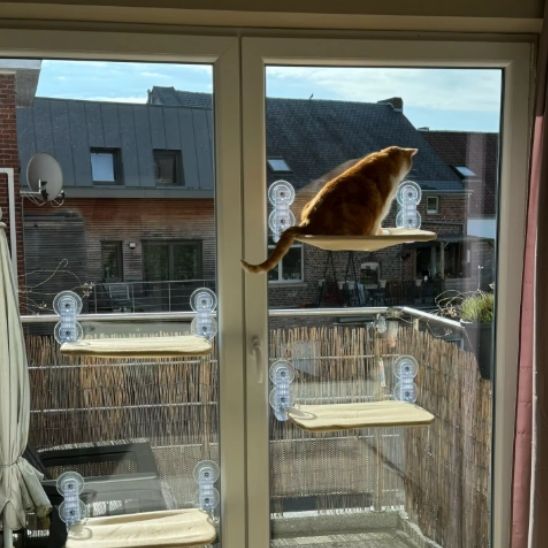 hamac chat Pliaboo empilés sur une baie vitrée, avec un chat roux perché tout en haut comme un roi.