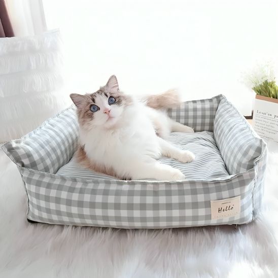 Lit pour chat vert clair avec un chat à poils longs, blanc et beige, aux yeux bleus, allongé à l’intérieur.