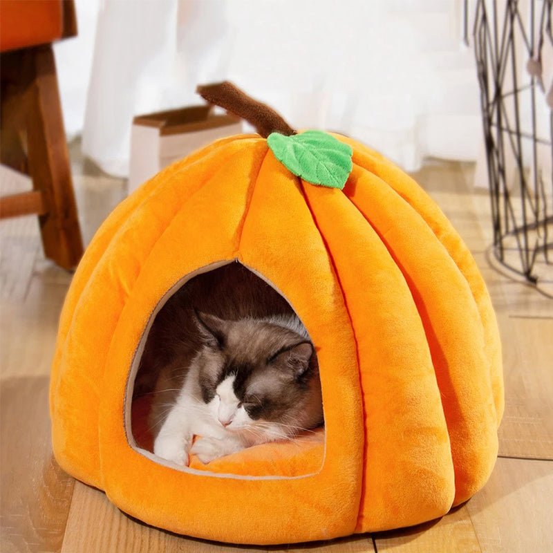 Niche pour chat citron Cinderella orange