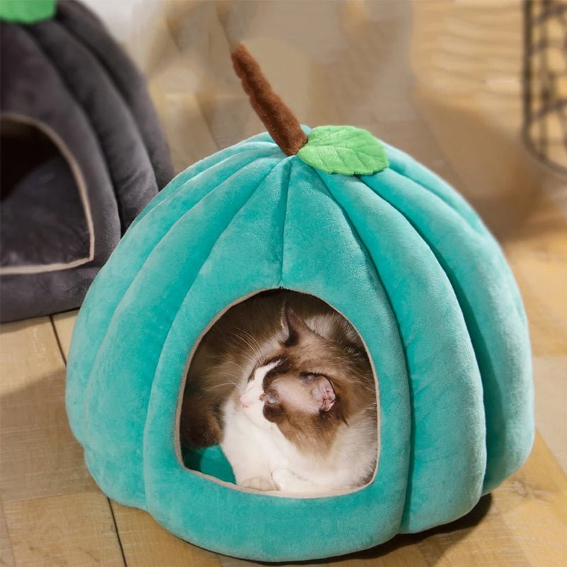 Niche pour chat citron Cinderella turquoise