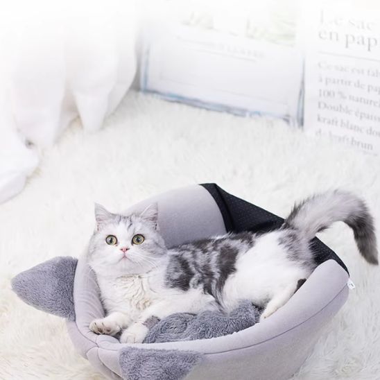 Chat allongé dans une niche pour chat transformable en lit ouvert avec coussin doux