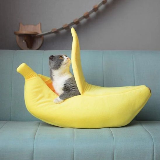 Niche pour chat en forme de banane fermĂ©e et confortable, avec un chat curieux assis Ă lâintĂ©rieur, profitant dâun espace rassurant et cosy