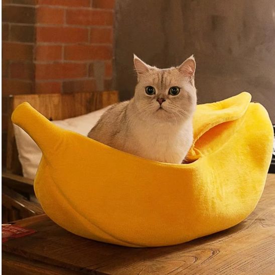 Niche pour chat jaune et sécurisante en forme de banane offrant un refuge douillet à un chat blanc dans un petit espace chaleureux
