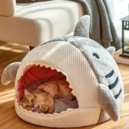 Chat allongé dans une niche pour chat confortable en forme de requin