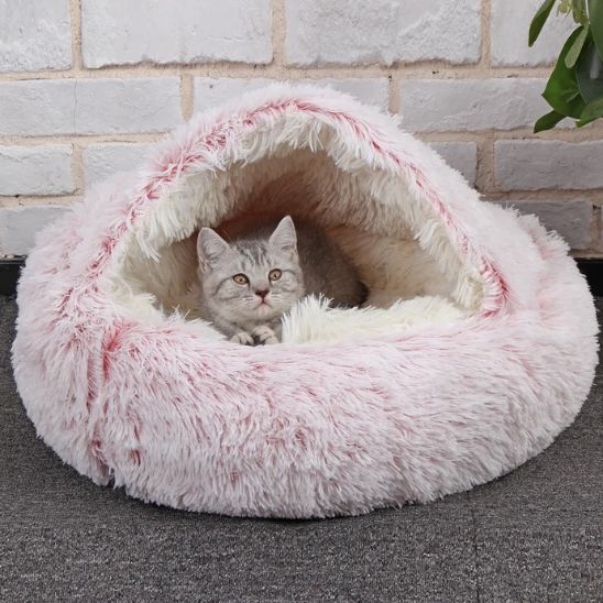 Chaton gris installé dans une niche pour chat rose CozyNest, ambiance rassurante et chaude