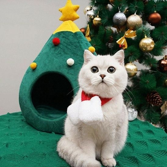 Niche pour chat en forme de sapin avec chat blanc assis devant